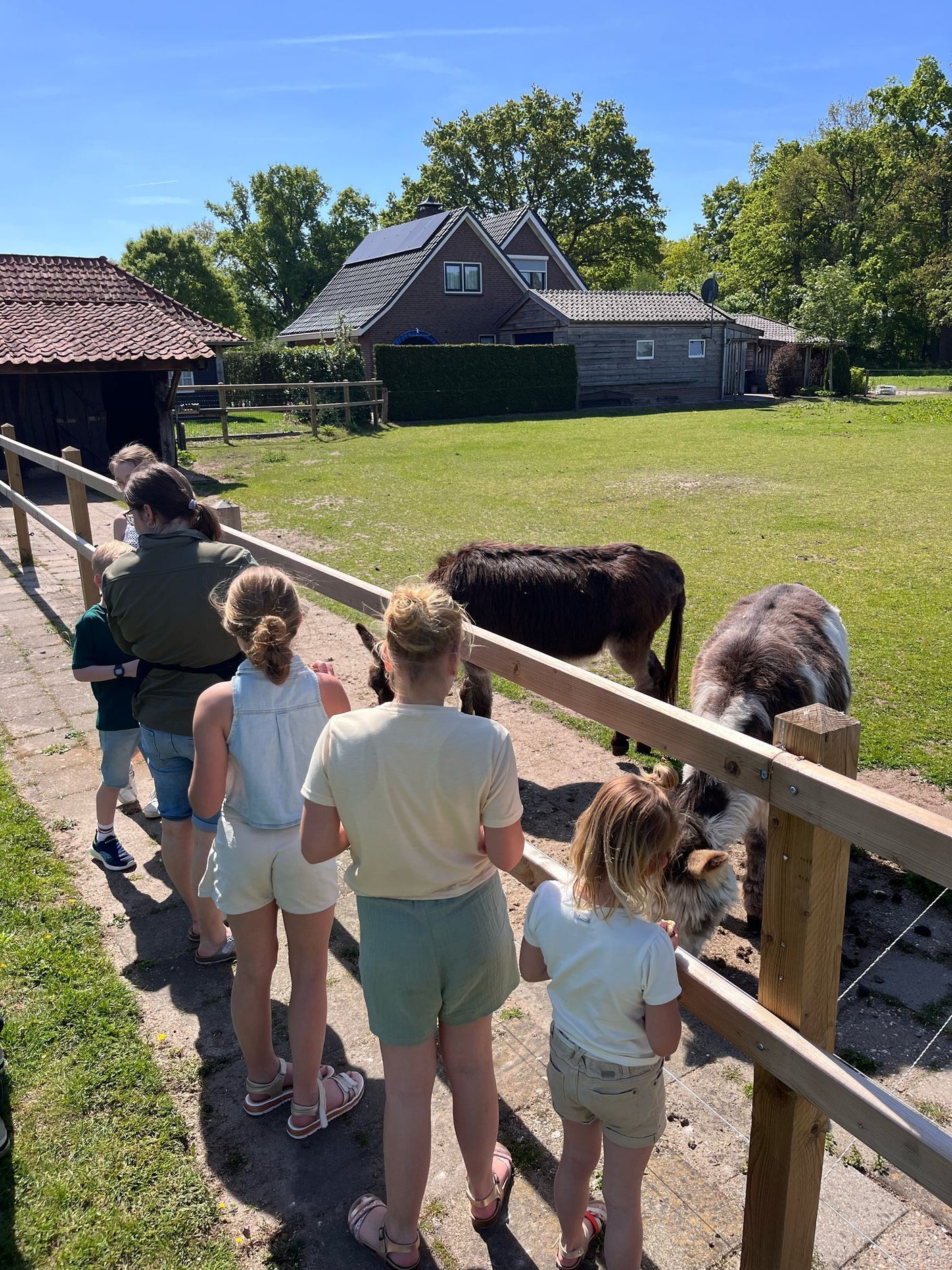 Dieren knuffelen