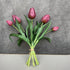 Tulpen