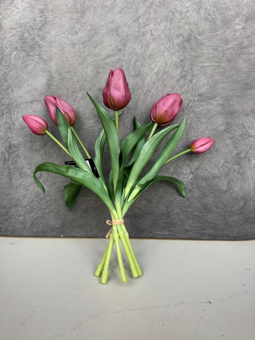 Tulpen
