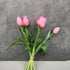 Tulpen