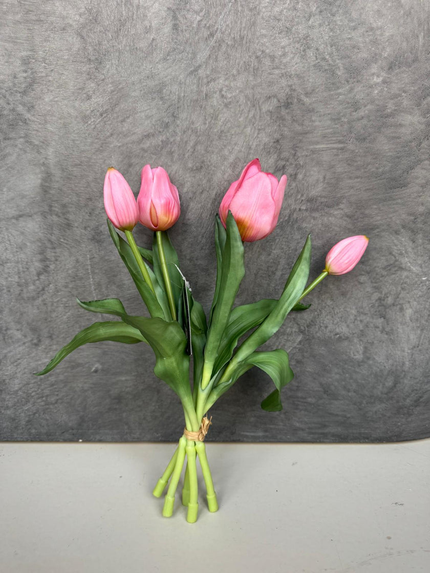 Tulpen